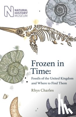 Charles, Rhys - Frozen in Time