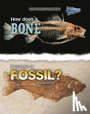Stewart, Melissa - How Does a Bone Become a Fossil?