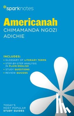  - Americanah by Chimamanda Ngozi Adichie
