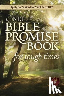 Beers, Ron - NLT Bible Promise Book For Tough Times, The