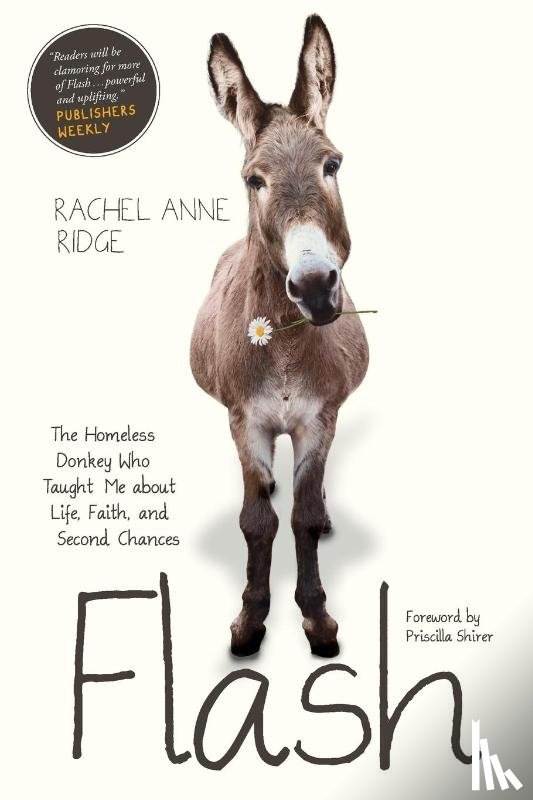 Rachel Anne Ridge - Flash