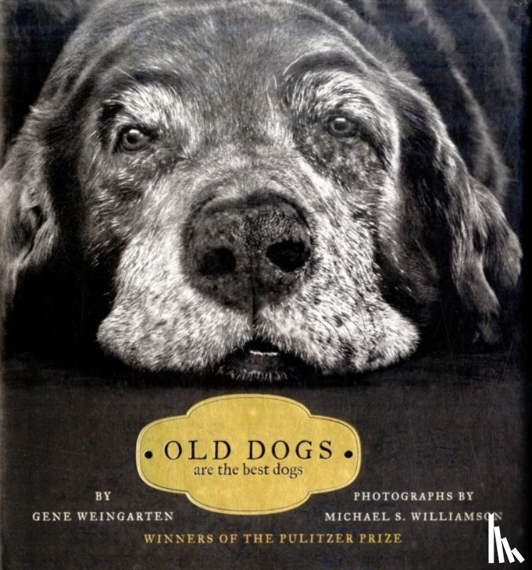 Weingarten, Gene - Old Dogs