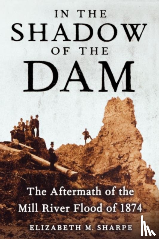 Sharpe, Elizabeth M. - In the Shadow of the Dam, The Aftermath of the Mill River Flood of 1874