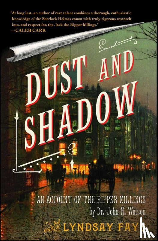 Faye, Lyndsay - Dust and Shadow
