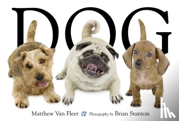 Van Fleet, Matthew - Dog