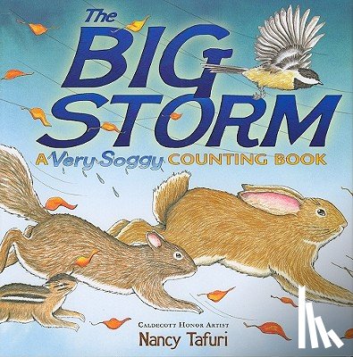 Tafuri, Nancy - The Big Storm: A Very Soggy Counting Book