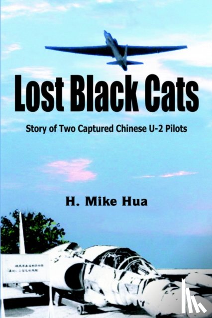 H. Mike Hua - Lost Black Cats