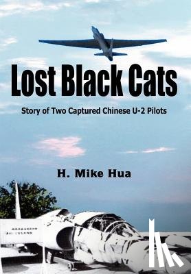 H. Mike Hua - Lost Black Cats
