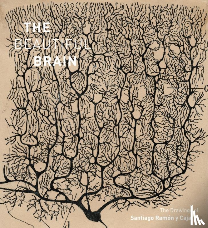 Swanson, Larry, Newman, Eric, Araque, Alfonso - The Beautiful Brain