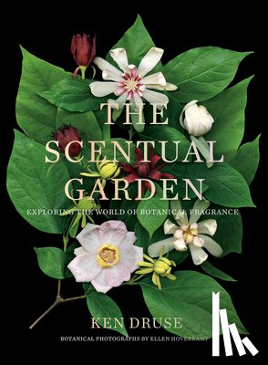 Druse, Ken - The Scentual Garden: Exploring the World of Botanical Fragrance
