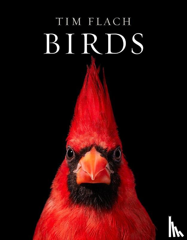Flach, Tim - Birds