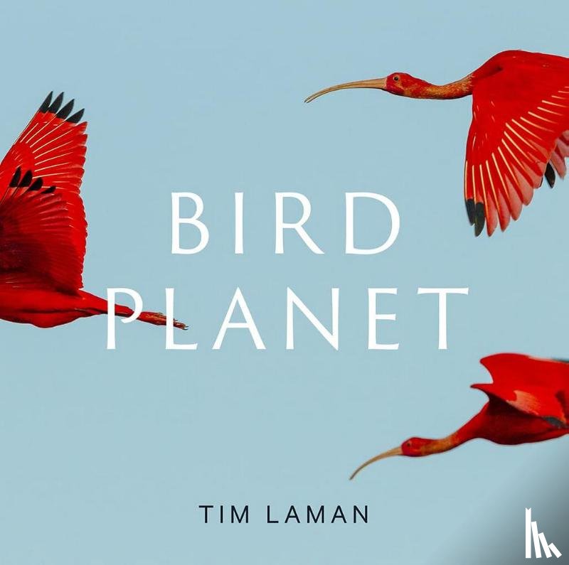 Laman, Tim - Bird Planet