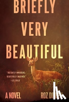 Dineen, Roz - Briefly Very Beautiful