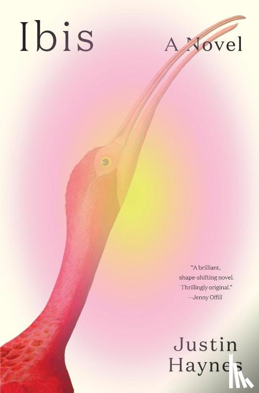Haynes, Justin - Ibis