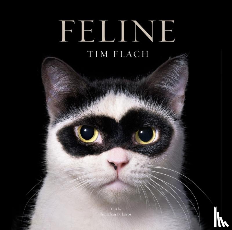Flach, Tim - Feline