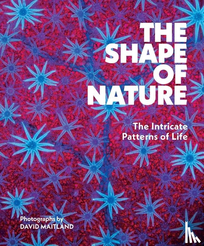 Maitland, David - The Shape of Nature