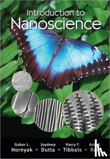 Hornyak, Gabor L. - Hornyak, G: Introduction to Nanoscience