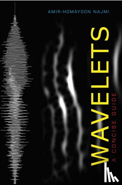 Najmi, Amir-Homayoon (The Johns Hopkins University) - Wavelets