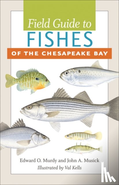 Murdy, Edward O., Musick, John A. (Professor Emeritus - Field Guide to Fishes of the Chesapeake Bay