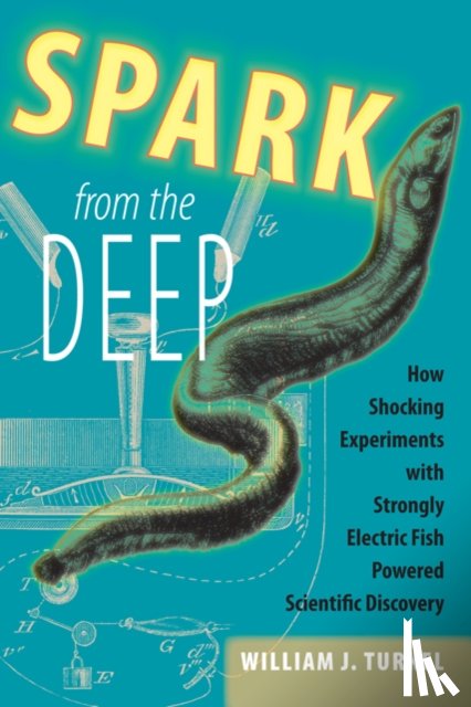 Turkel, William J. (Professor of History - Spark from the Deep