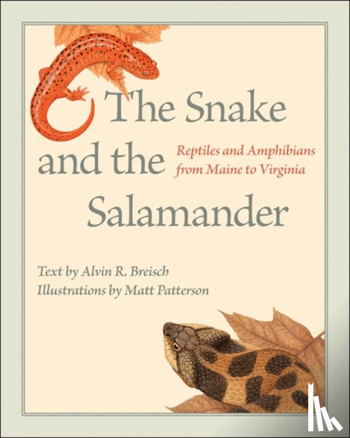 Breisch, Alvin R. (Roosevelt Wild Life Station) - The Snake and the Salamander