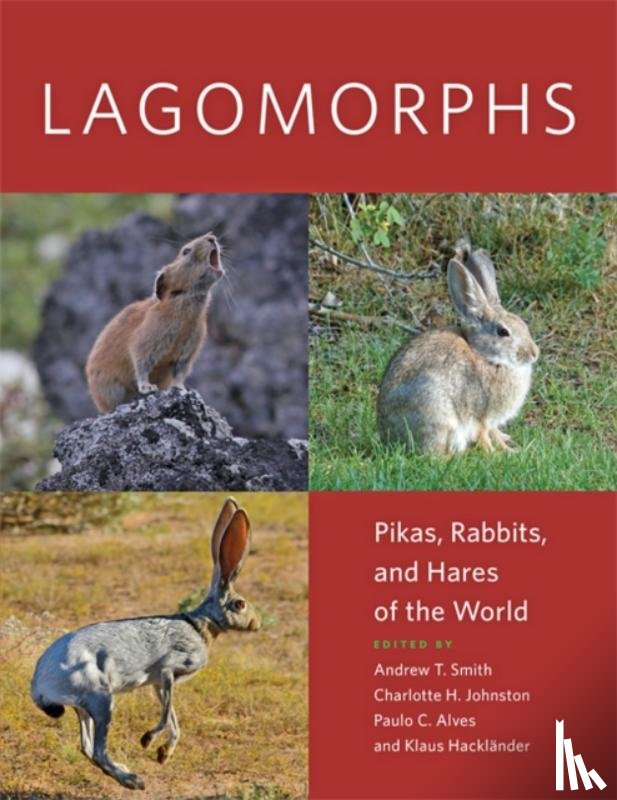  - Lagomorphs