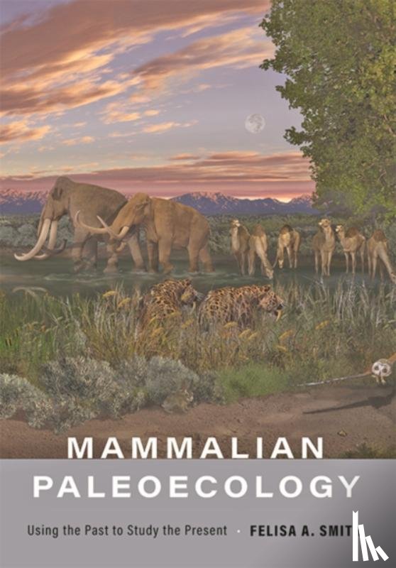 Smith, Felisa A. (Professor - Mammalian Paleoecology