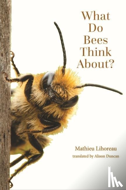 Lihoreau, Mathieu - What Do Bees Think About?