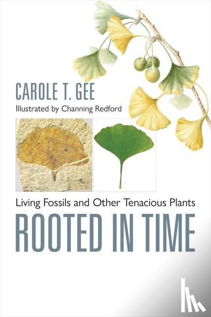 Gee, Carole T. (Associate Professor of Paleontology - Rooted in Time