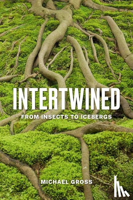 Gross, Michael - Intertwined