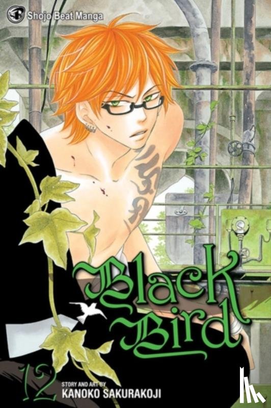 Sakurakouji, Kanoko - Black Bird, Vol. 12