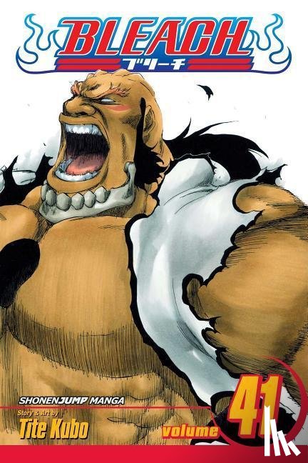 Kubo, Tite - Bleach, Vol. 41