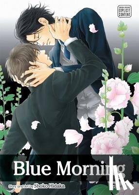 Hidaka, Shoko - Blue Morning, Vol. 4