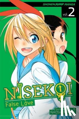 Komi, Naoshi - Nisekoi: False Love, Vol. 2