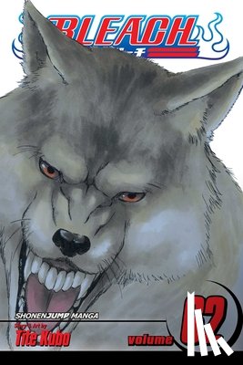 Kubo, Tite - Bleach, Vol. 62
