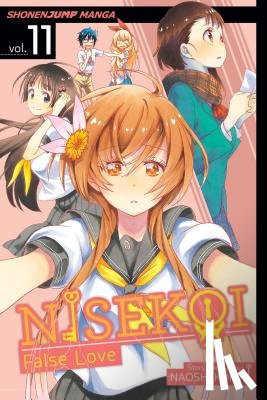 Komi, Naoshi - Nisekoi: False Love, Vol. 11