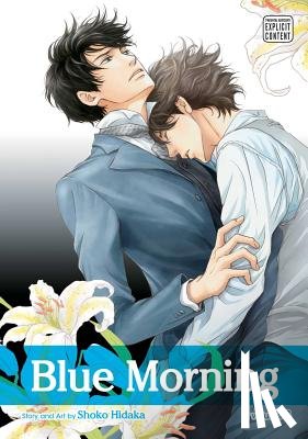 Hidaka, Shoko - Blue Morning, Vol. 6