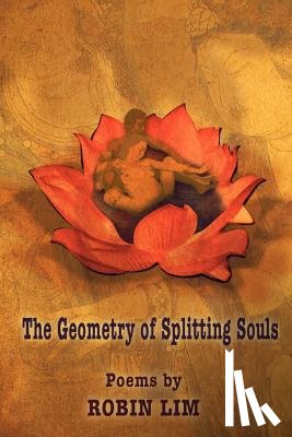 Lim, Robin - The Geometry of Splitting Souls
