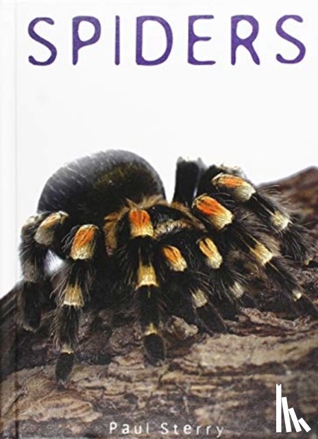 Sterry, Paul - Spiders