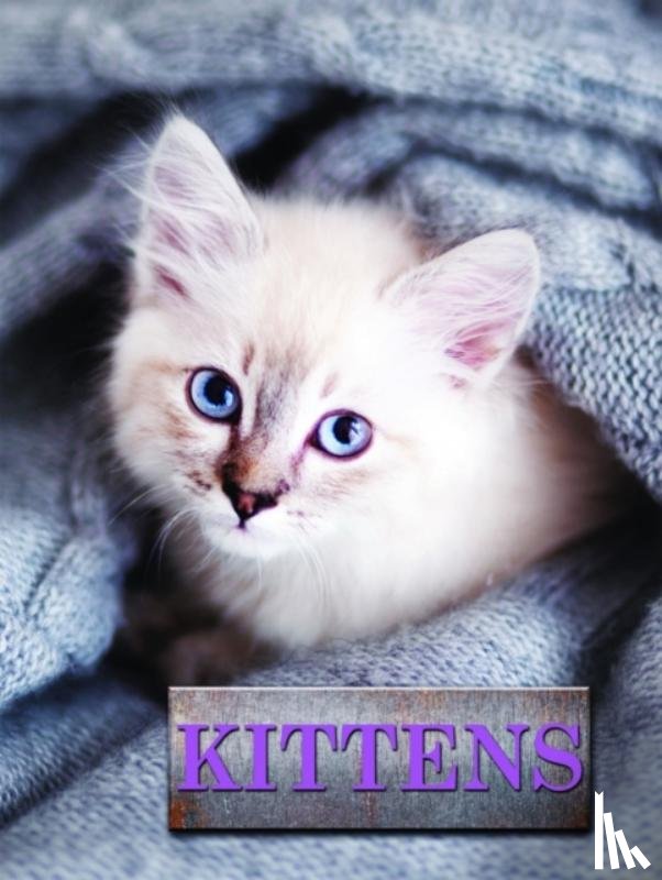 Schneck, Marcus - Kittens
