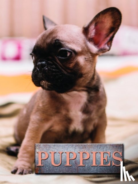 Schneck, Marcus - Puppies