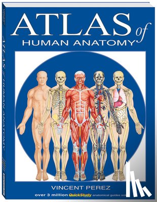 Perez, Vincent - Atlas Of Human Anatomy
