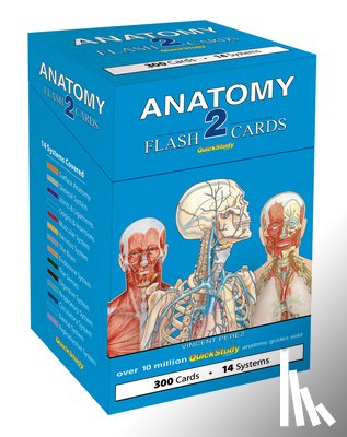 Vincent Perez - Anatomy 2 Flash Cards