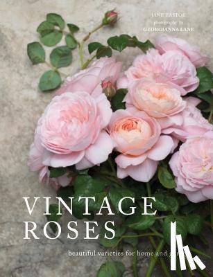 Eastoe, Jane - Vintage Roses: Beautiful Varieties for Home and Garden