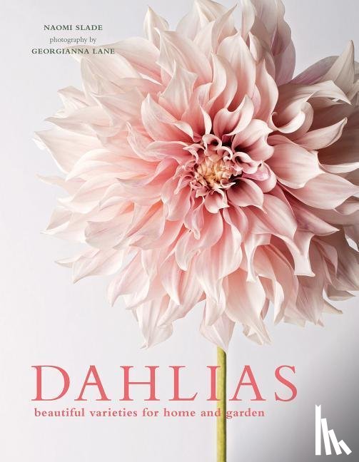 Slade, Naomi - DAHLIAS