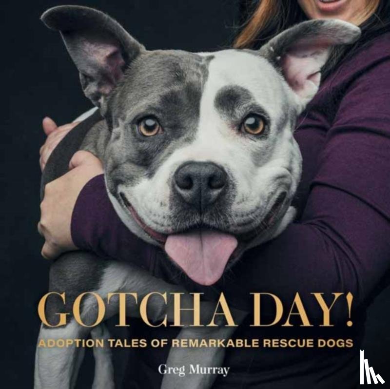 Murray, Greg - Gotcha Day