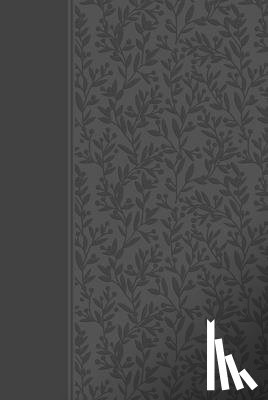 Simmons, Brian Dr - The Passion Translation New Testament with Psalms, Proverbs and Song of Songs (2020 Edn) Grey Leather