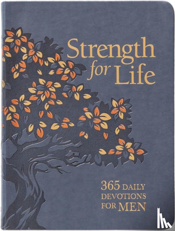 Bailey, Boyd - Strength for Life
