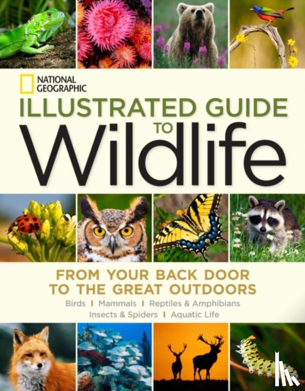 National Geographic - National Geographic Illustrated Guide to Wildlife