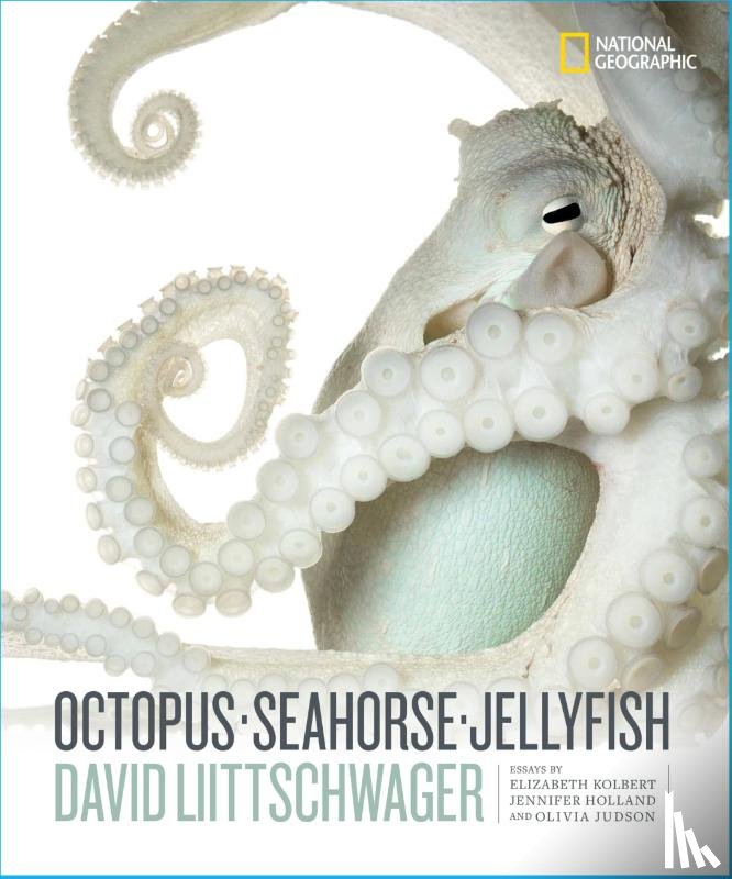 Littschwager, David - Octopus, Seahorse, Jellyfish